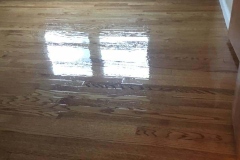 18193964_768358246672981_3776320765018096425_n