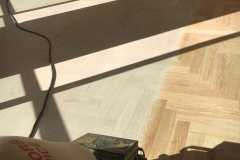 22894454_864425077066297_4316604587079542153_n